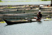 mindanao_lakesebu_fisherman.jpg