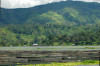 Mindanao, Lake Sebu 17