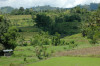 Mindanao, Ricefield 23