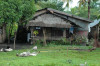 Mindanao, House in rural area