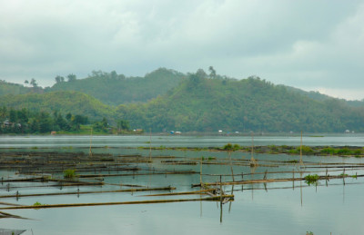 Mindanao, Lake Sebu 11