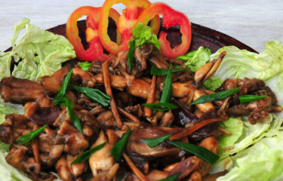 Adobong Palaka