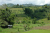 Philippines, Mindanao, ricefield 03