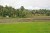 Philippines, Mindanao, ricefield 07