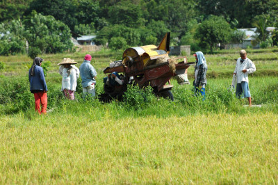 Philippines, Mindanao, Harvesting 